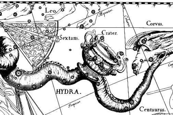 Гидра и кракен