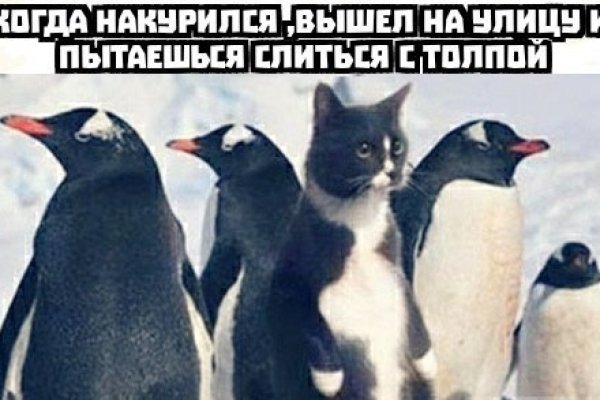 Где взять ссылку кракена