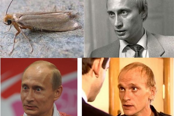 Кракен магазин тор