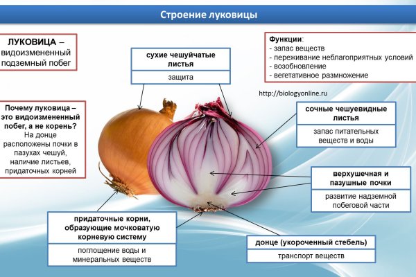 Как зайти на кракен в торе